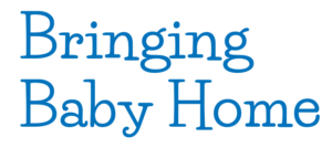 Bringing Baby Home Workshop